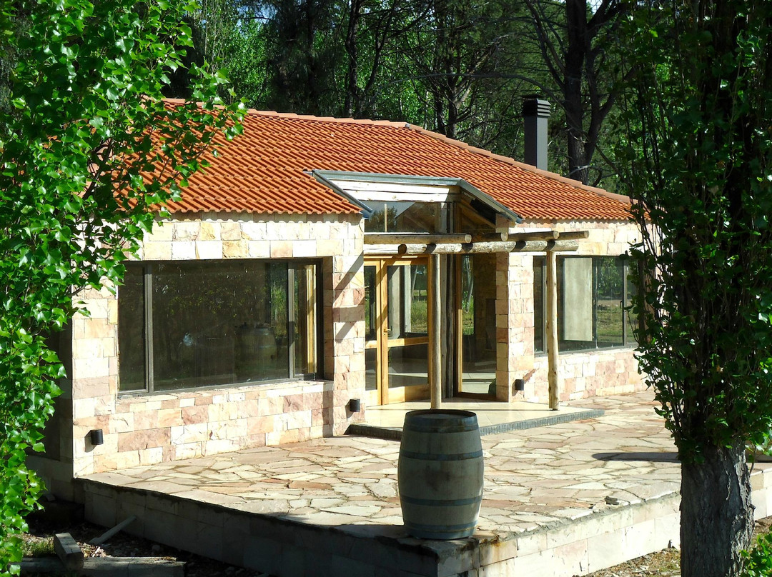 Gavilan Vineyards - Day Tours-圣拉斐尔必去景点