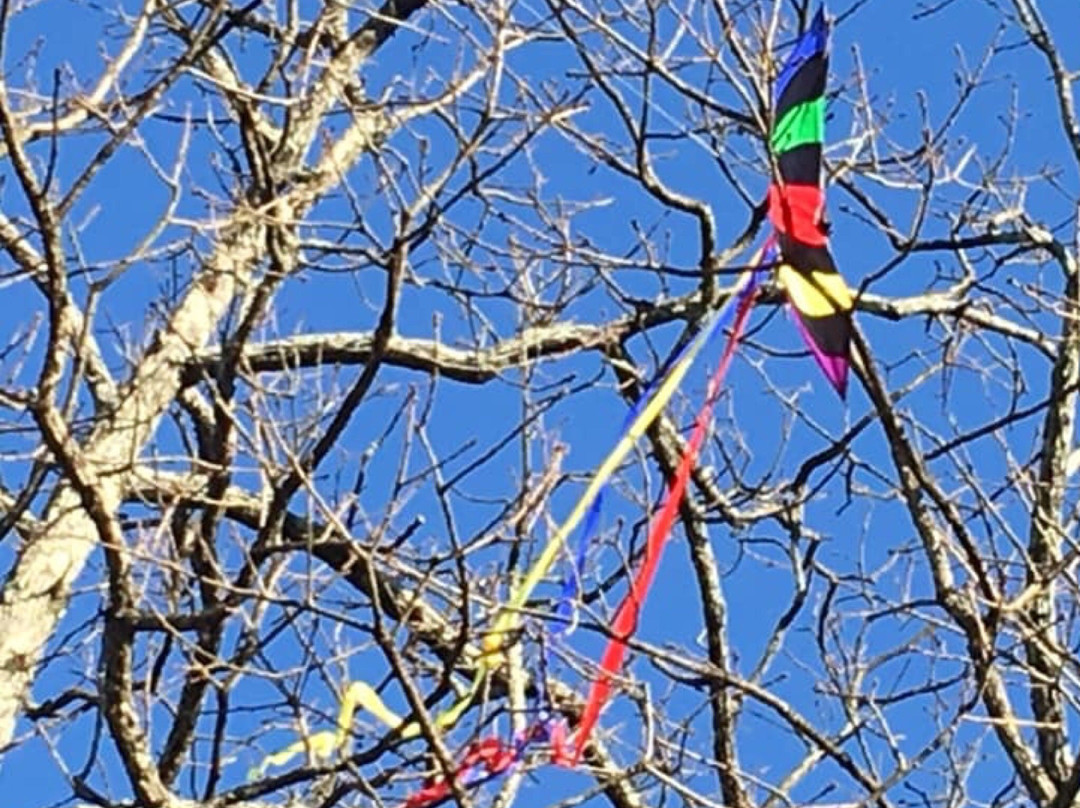 Cleveland Park-格林维尔必去景点