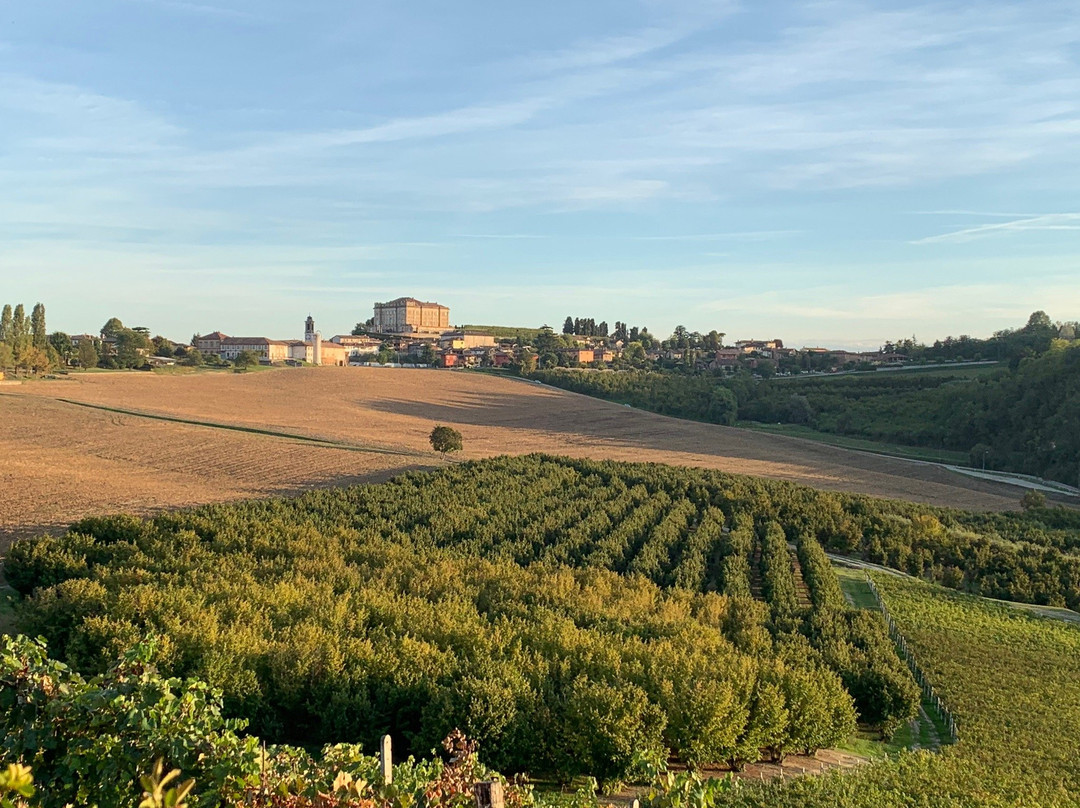Cascina Cortine主图