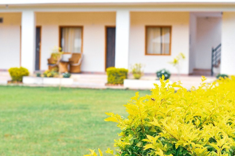 Ranthambhore Noor Bagh主图