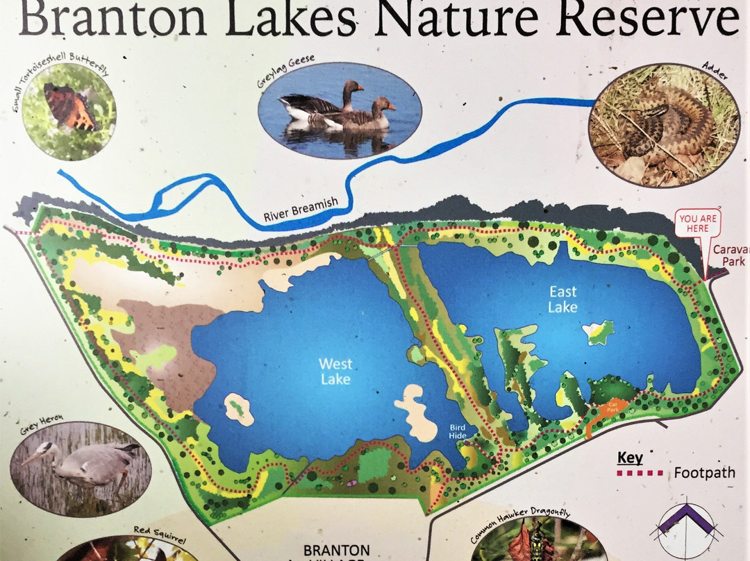 Branton Lakes Nature Reserve景点图片