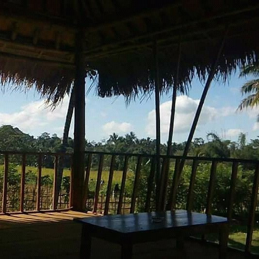 Bunga Homestay主图