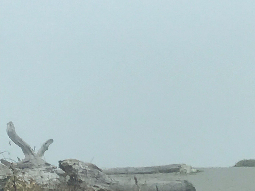 Humboldt Lagoons State Park景点图片