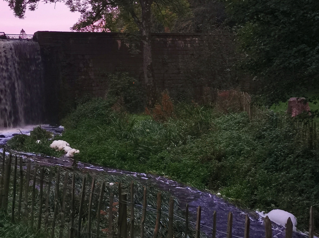 Dungannon Park景点图片