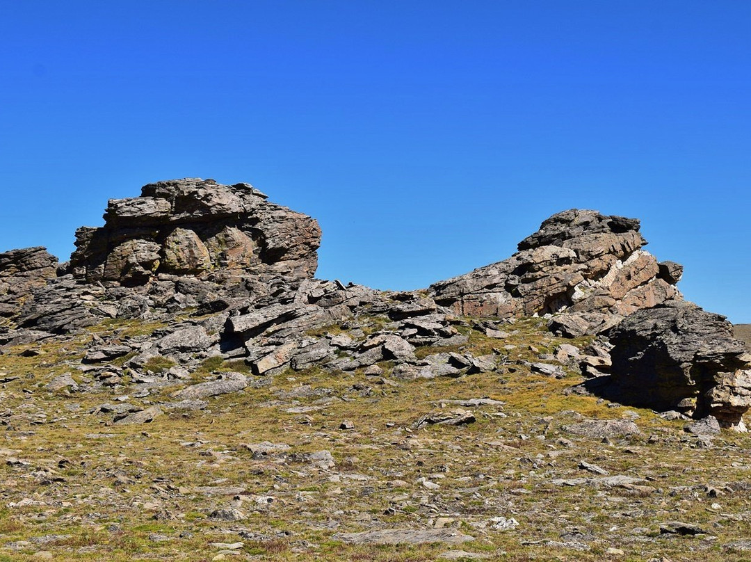 Tundra Communities Trail-落基山国家公园必去景点