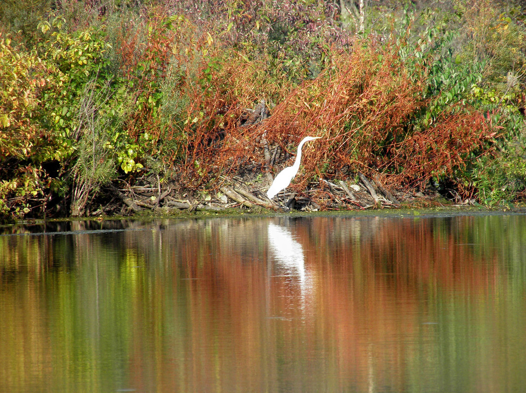 Holiday Beach Conservation Area-阿默斯特堡必去景点