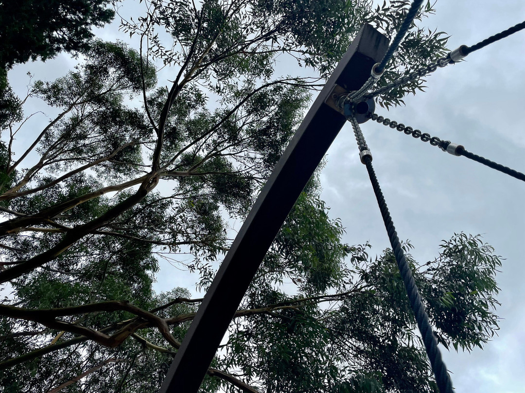 Romsey Ecotherapy Park