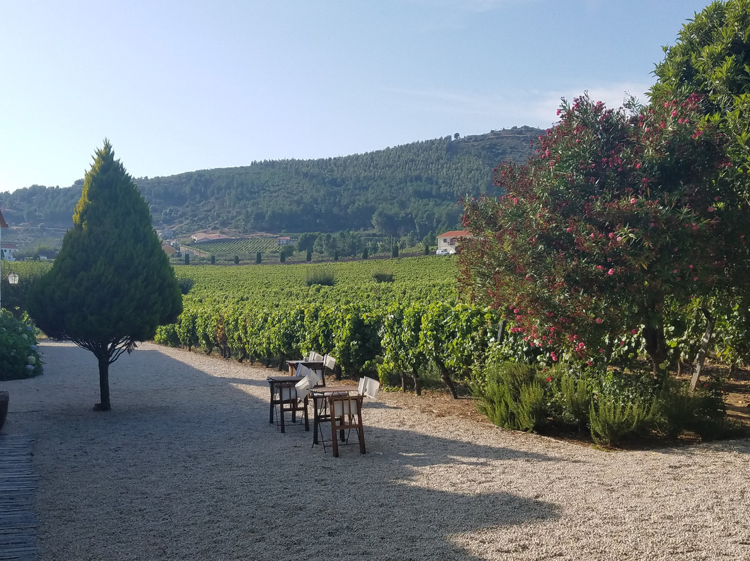 Morgadio da Calcada主图