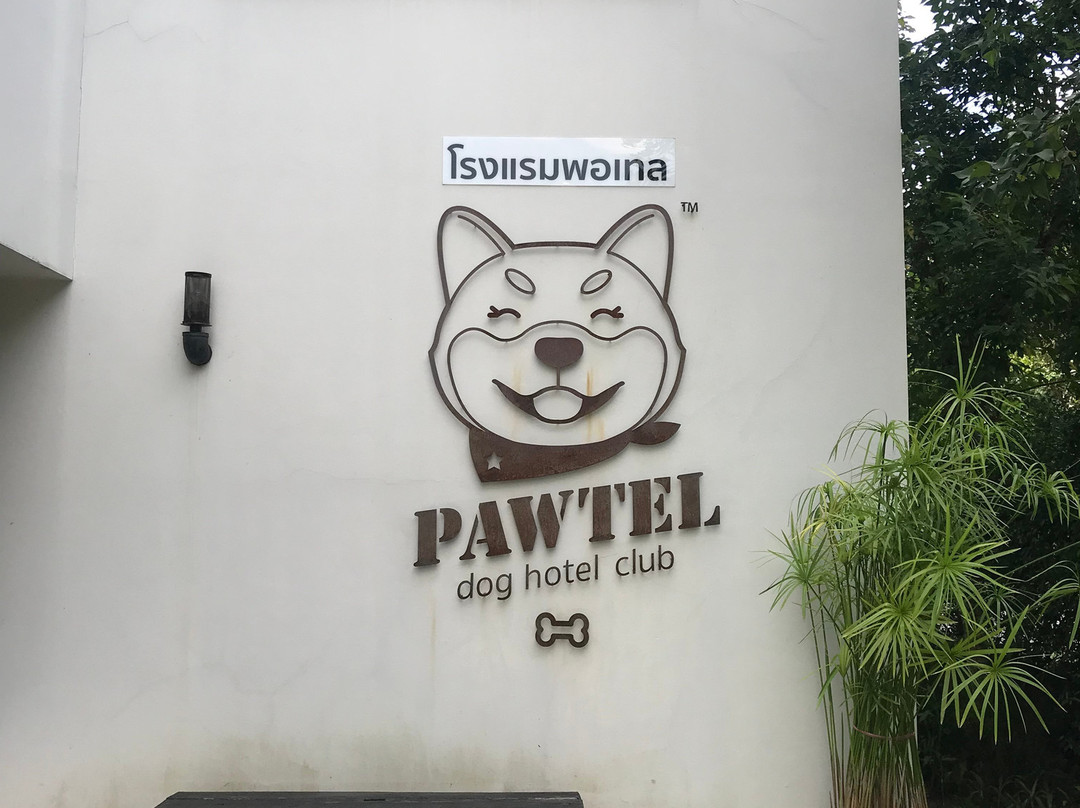 Pawtel Chiangmai主图