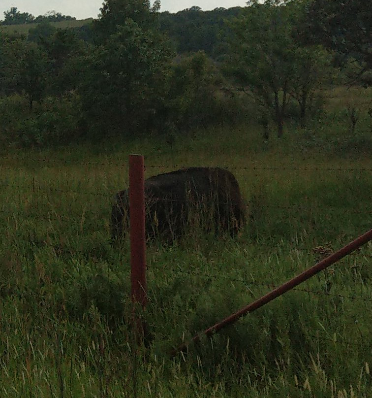 Joseph H. Williams Tallgrass Prairie Preserve-Pawhuska必去景点
