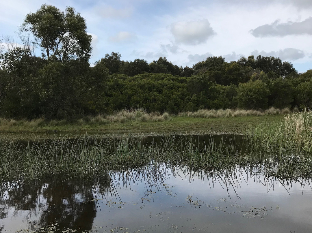 Wonthaggi Wetlands Reserve景点图片