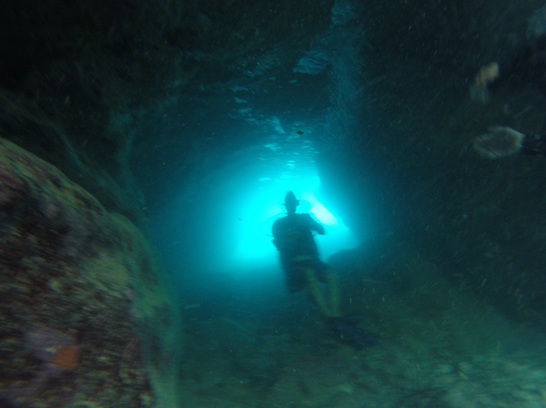 Divepoint景点图片