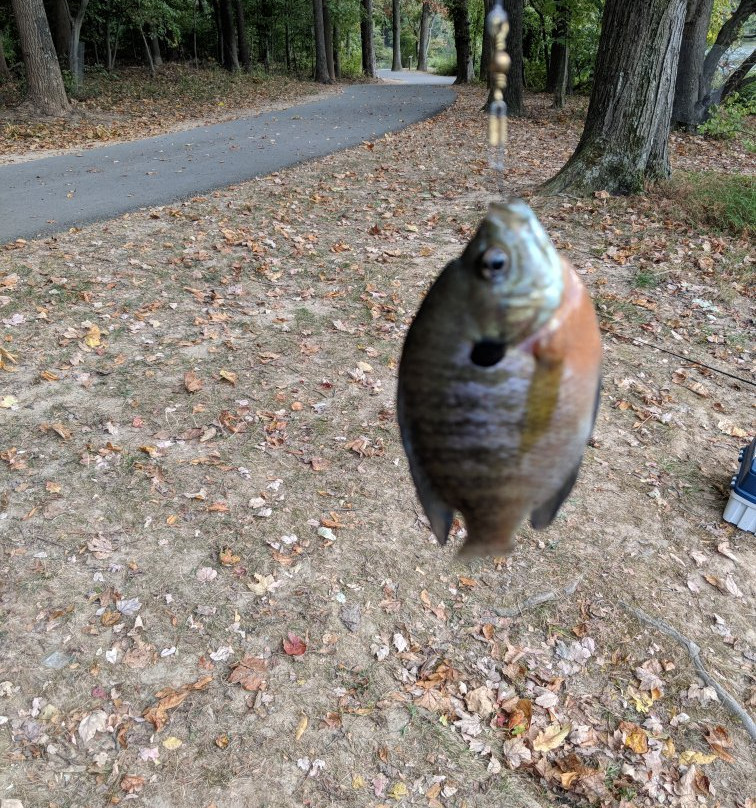 Lake Elkhorn Park-哥伦比亚必去景点