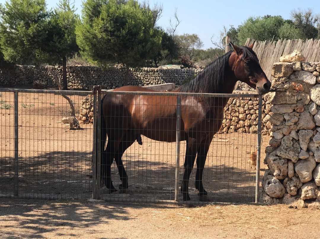Farmstay Biniati d's Pi主图