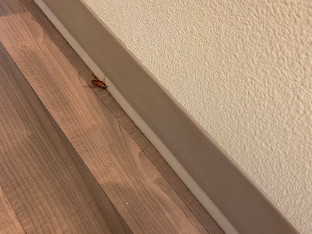 Extended Stay America - Orange County - Cypress主图