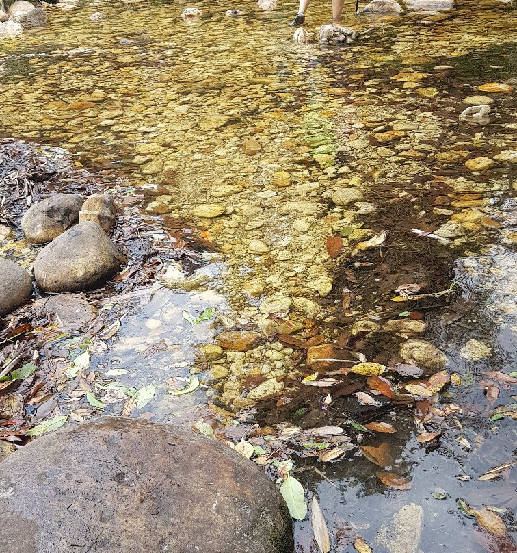 Pousada da Gameleira主图