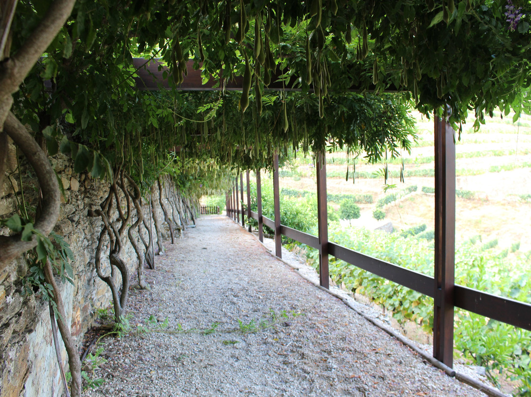 Quinta Do Pego主图