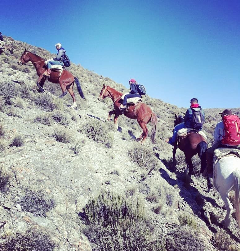 Reserva Natural Villavicencio-Las Heras必去景点