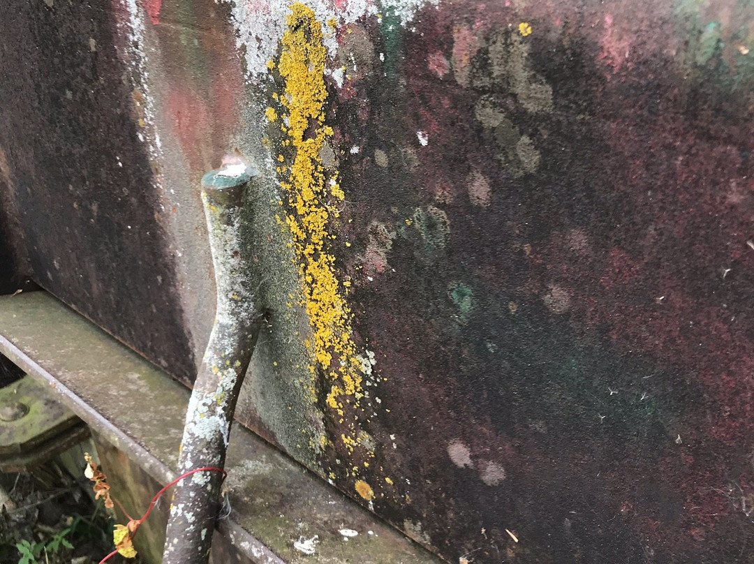 August A. Busch Memorial Conservation Area-圣查尔斯必去景点