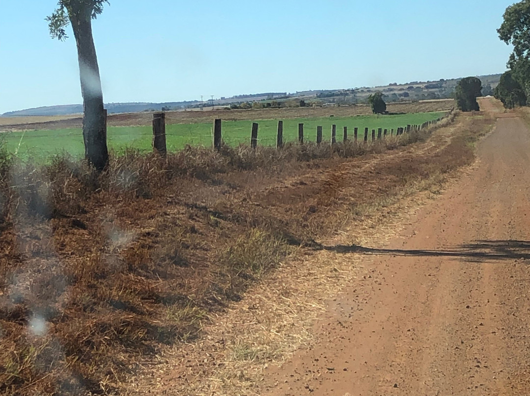 Mt Wooroolin Lookout-Kingaroy必去景点