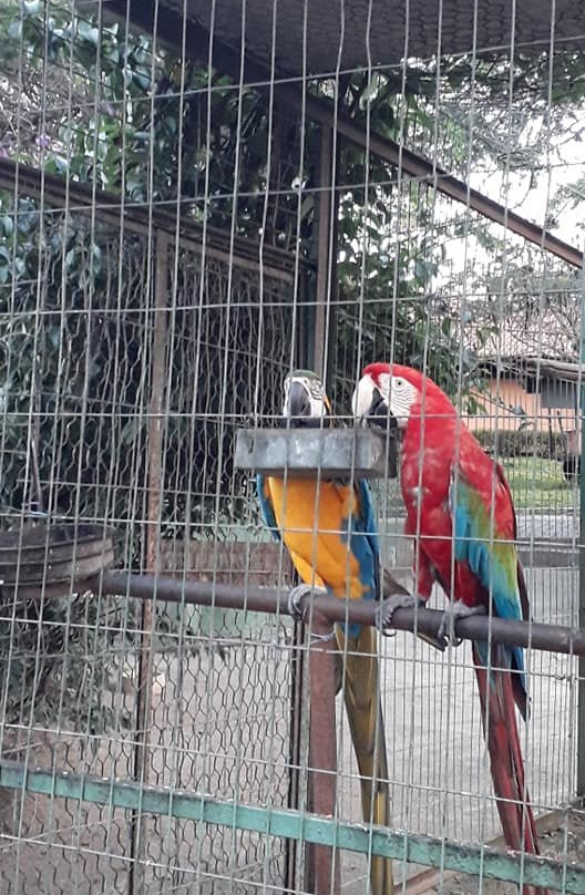 Pousada Fazenda Santa Fe主图