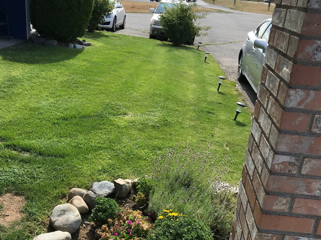 Wedge Mountain Inn主图