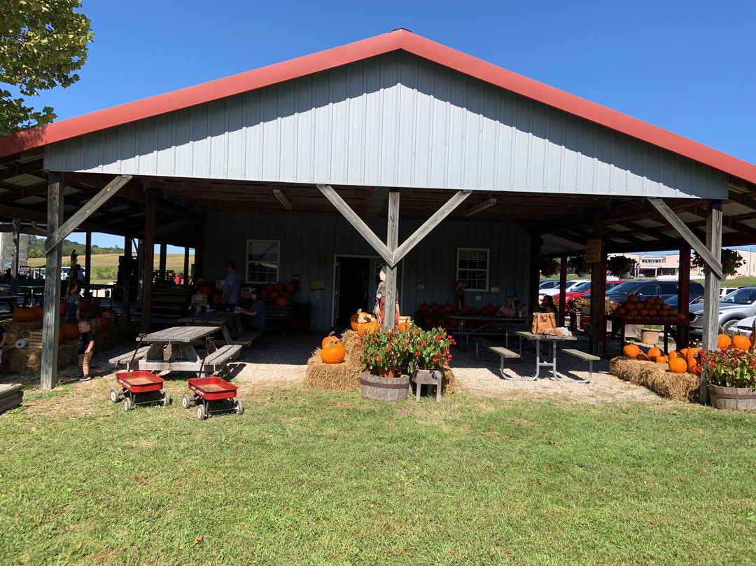 Thierbach Orchards & Berry Farm景点图片