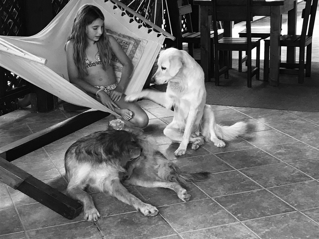 Casato Calabrese主图