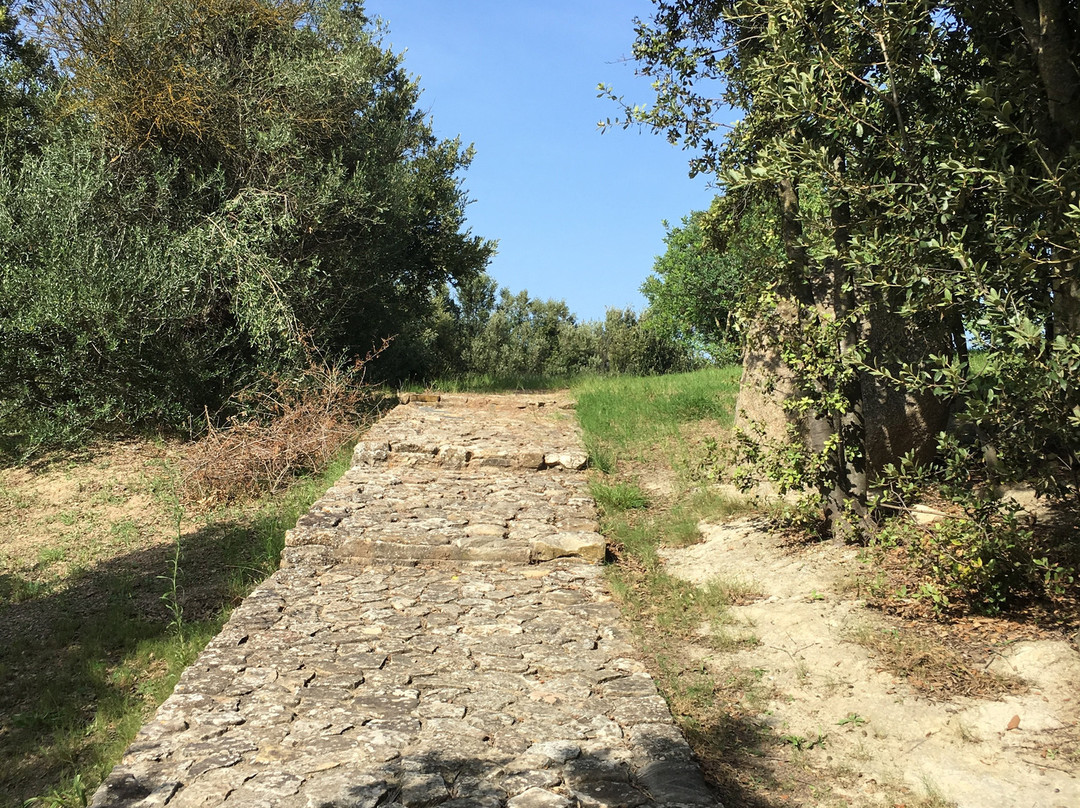 Chiesa di Santa Maria della Neve-Senorbi必去景点