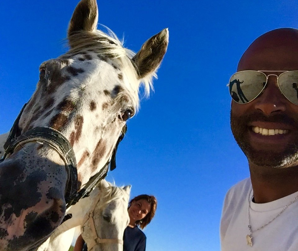 Les Petites Ecuries du Marais-Ars-en-Re必去景点