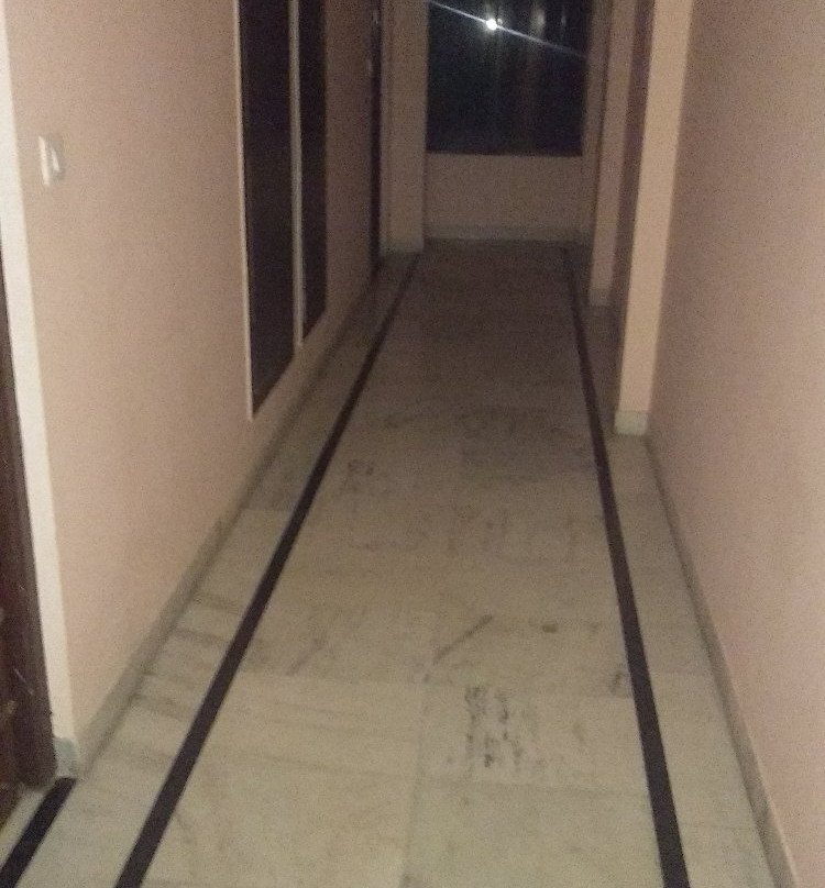 Treebo Trend Jhalamaan主图