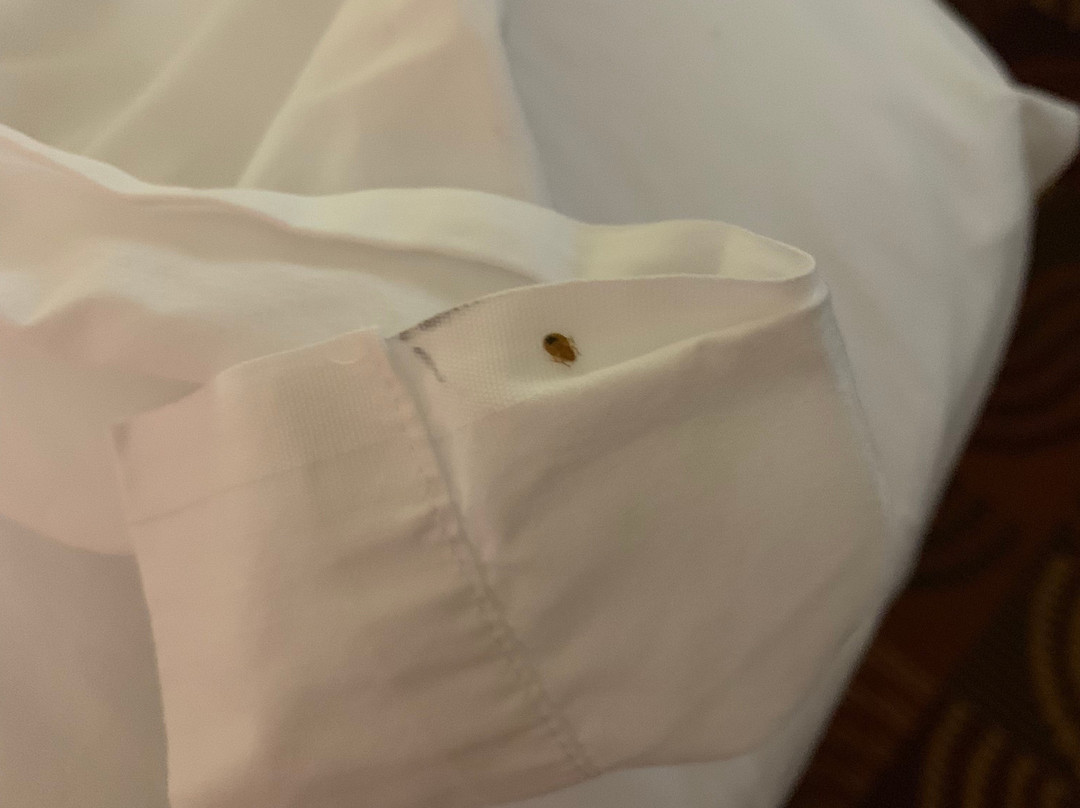 Days Inn by Wyndham Shallotte主图