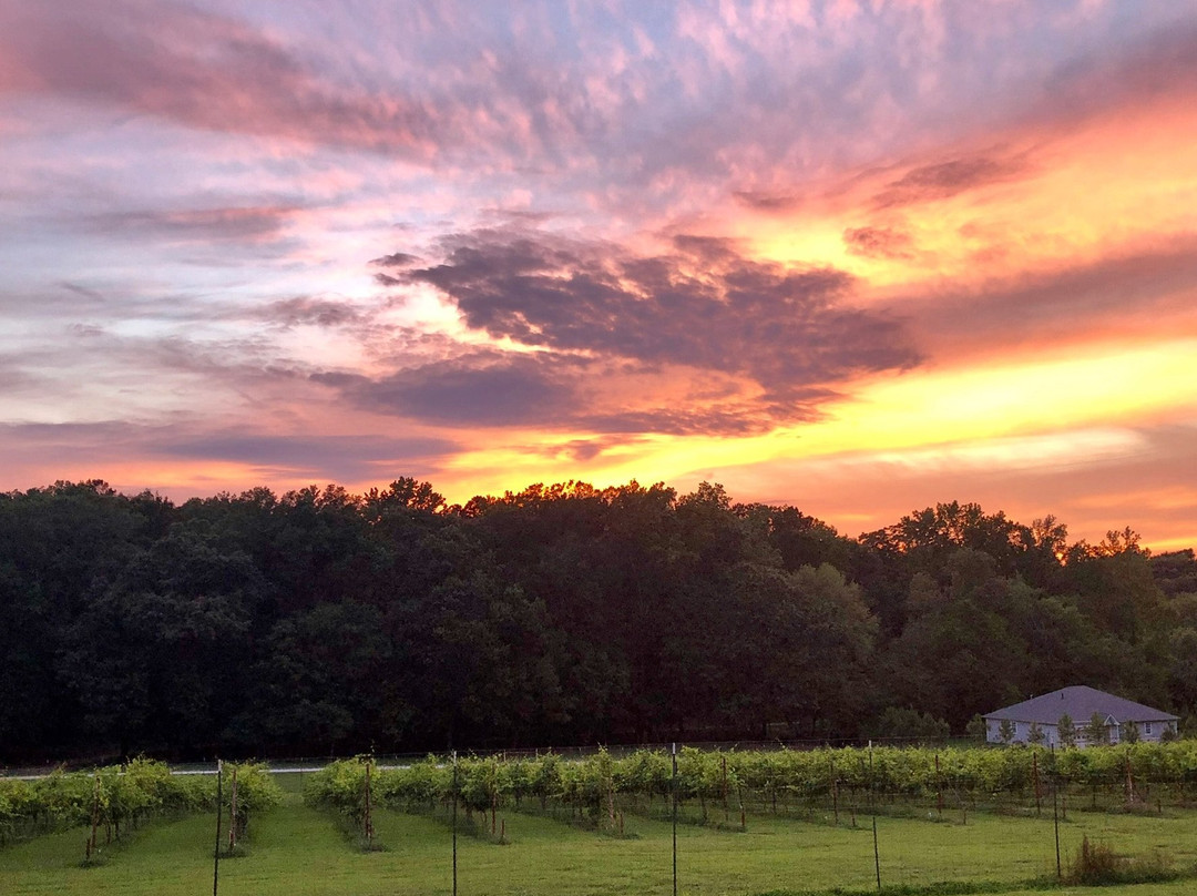 High Hill Farm主图