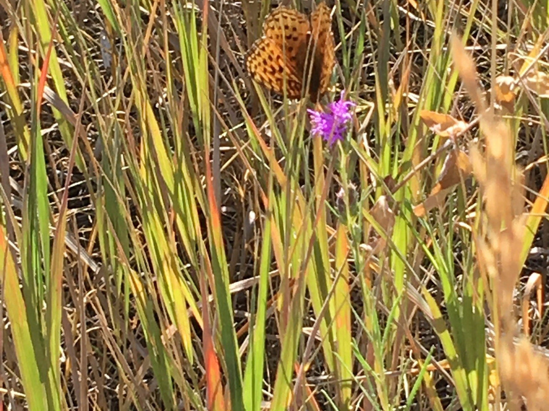 Lory State Park-Bellvue必去景点