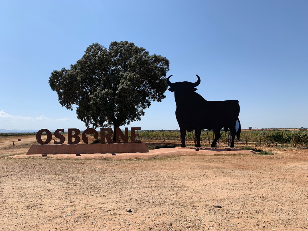 Bodegas Osborne景点图片