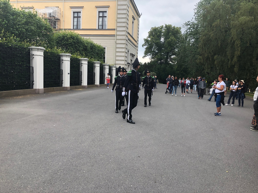 Changing of the Guard at the Royal Palace景点图片