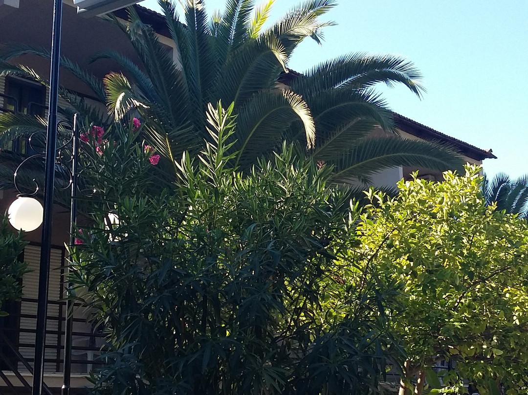 Vlachogiannis Hotel主图