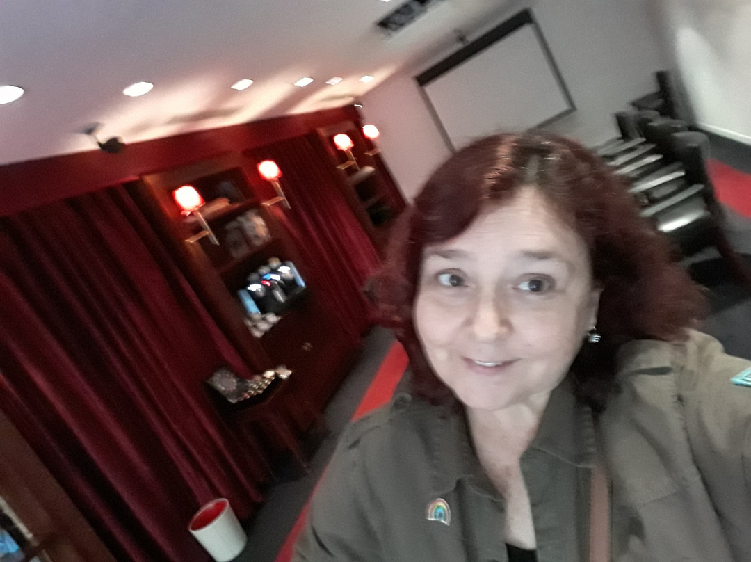 布宜诺斯艾利斯的法恩纳酒店主图