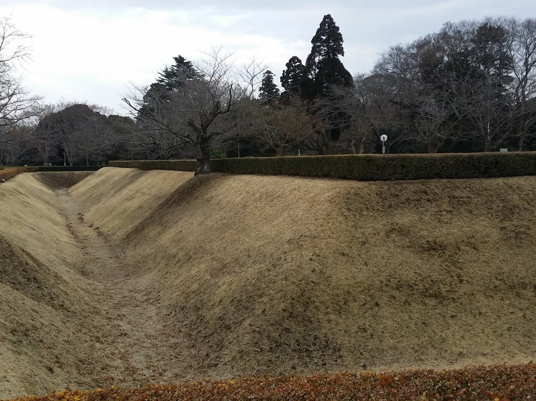 Sakura Castle Site Park景点图片