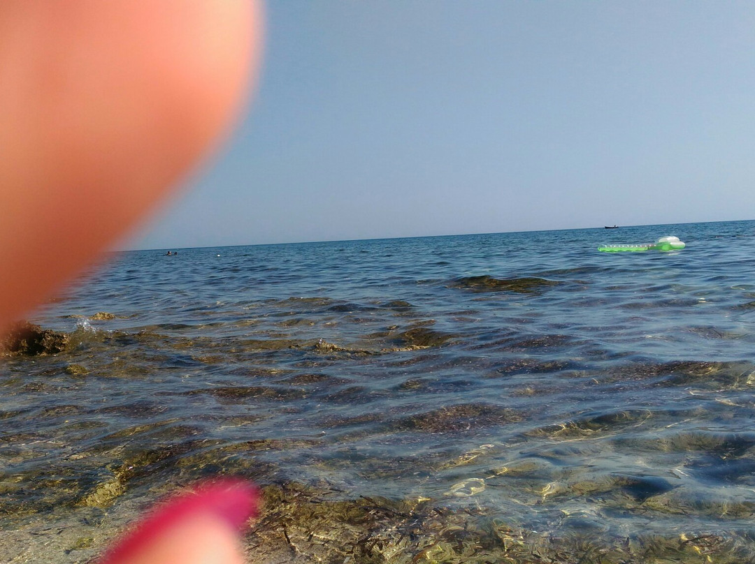 Spiaggia di Lido Silvana景点图片