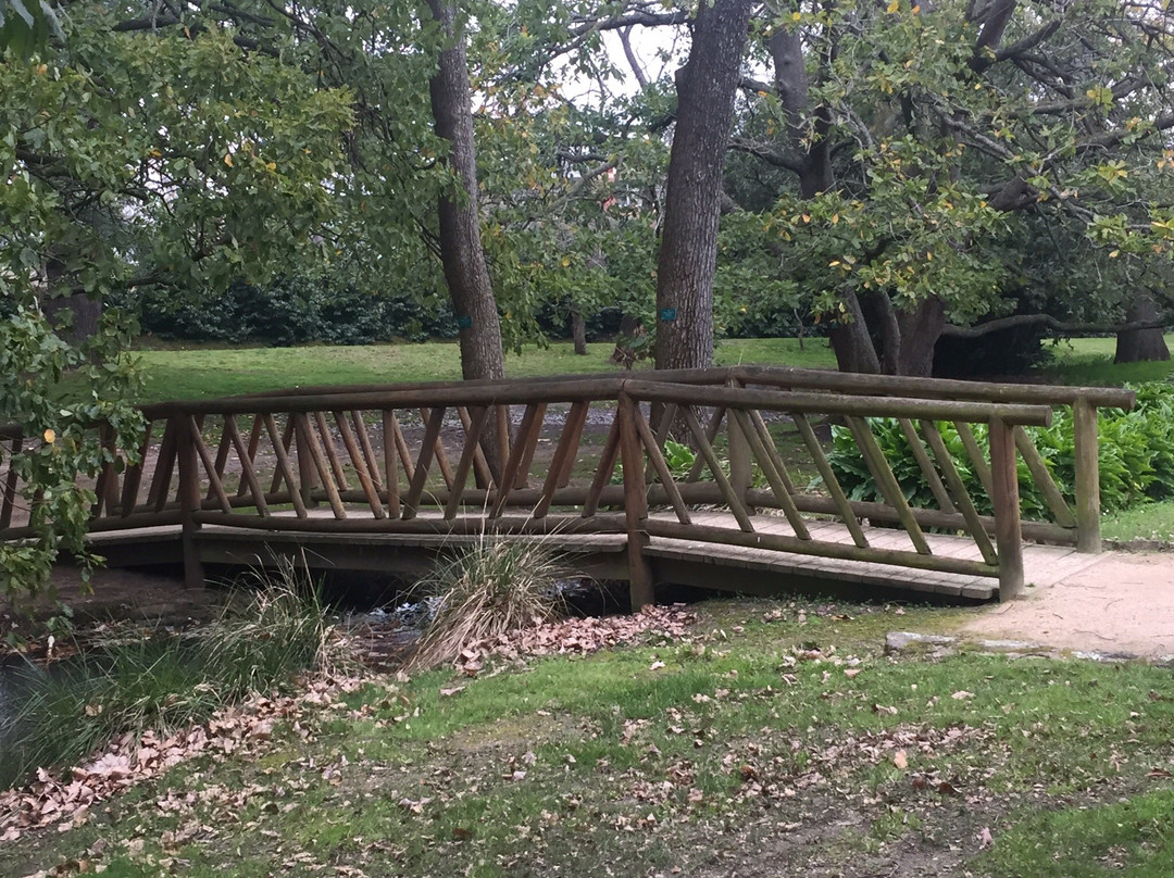 Buninyong Botanic Gardens-Buninyong必去景点