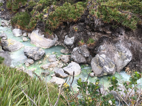 AirNomads Colombia-Manizales必去景点