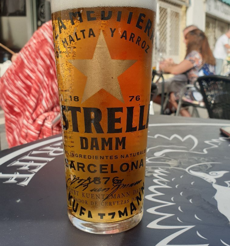 The Night Owl-奥德杰海岸必去景点