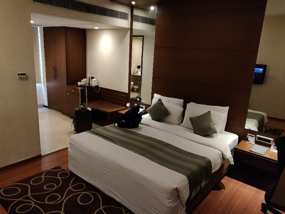 Hotel Minerva Grand主图
