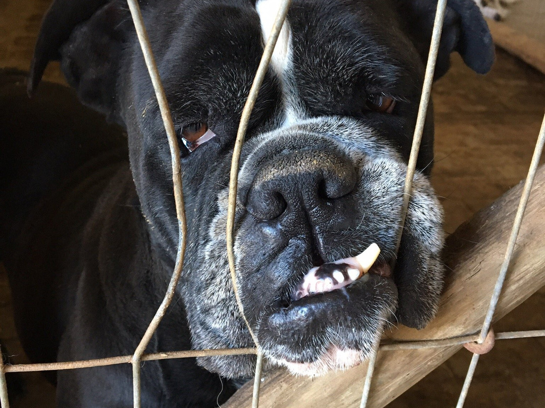 Parque Gaucho-格拉玛多必去景点