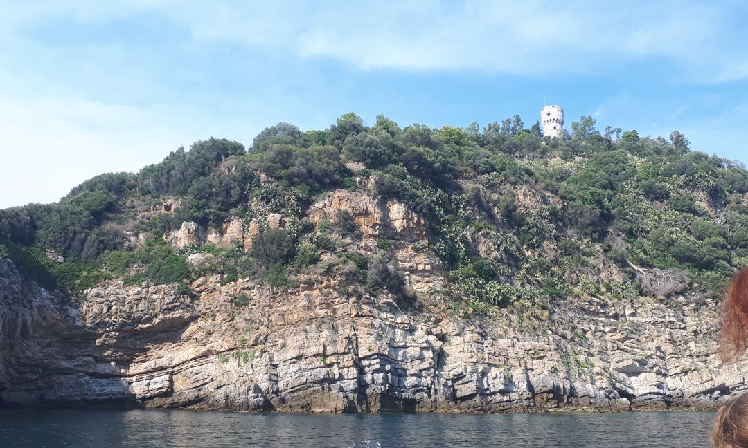 Isola Gallinara Tour e whale watching景点图片