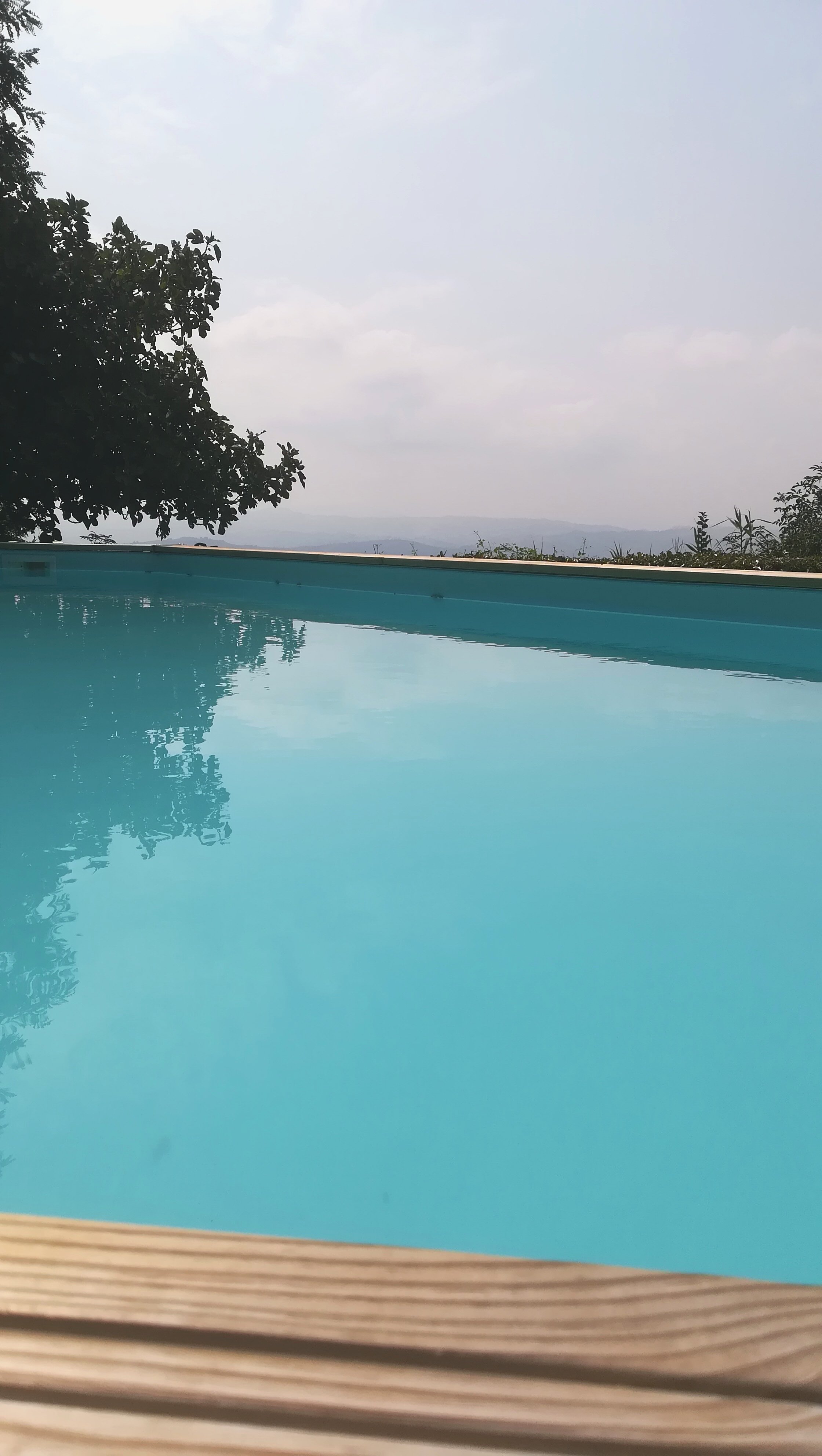 Guesthouse La Fenice-官方