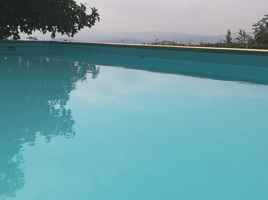 Guesthouse La Fenice主图