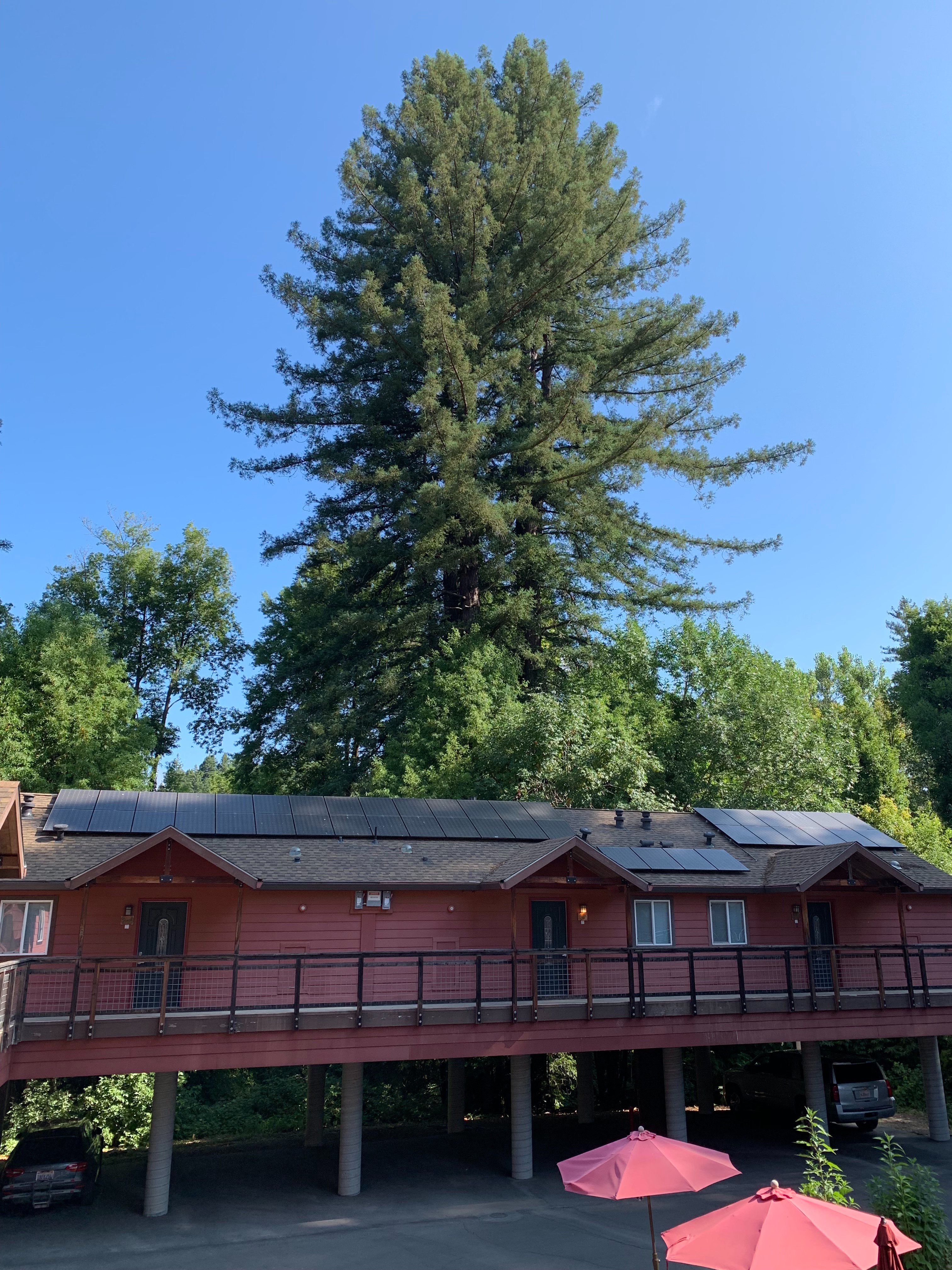 Creekside Inn & Resort-酒店景观