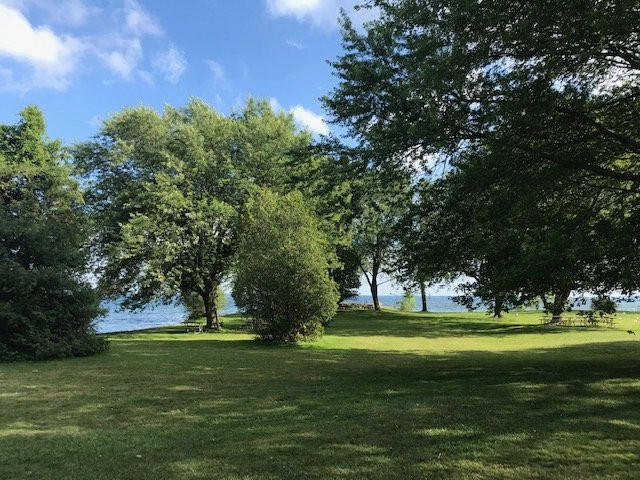 Brown’s Bay Day Park景点图片